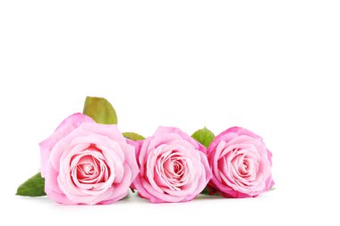 Bir buket pembe gül. 