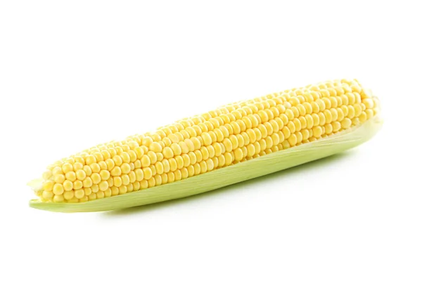 Sladká kukuřice izolovaných na bílém — Stock fotografie