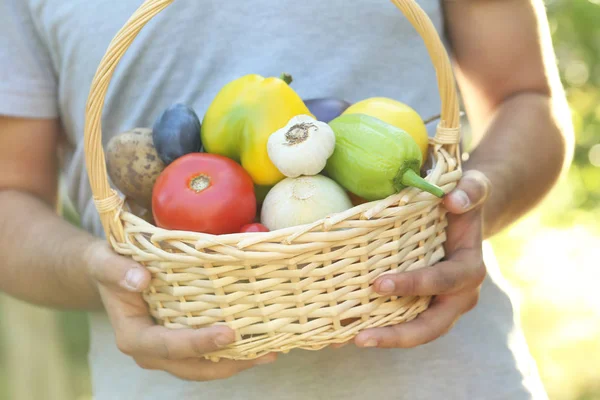 Человек держит корзину с фруктами и овощами — стоковое фото