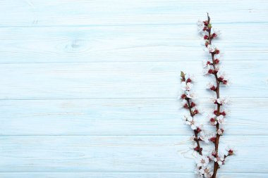 Dalları ile masaya çiçek 