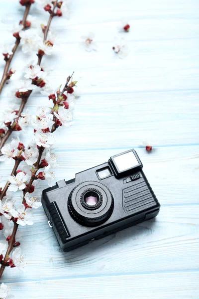 Branches with flowers and camera — Stock Photo, Image