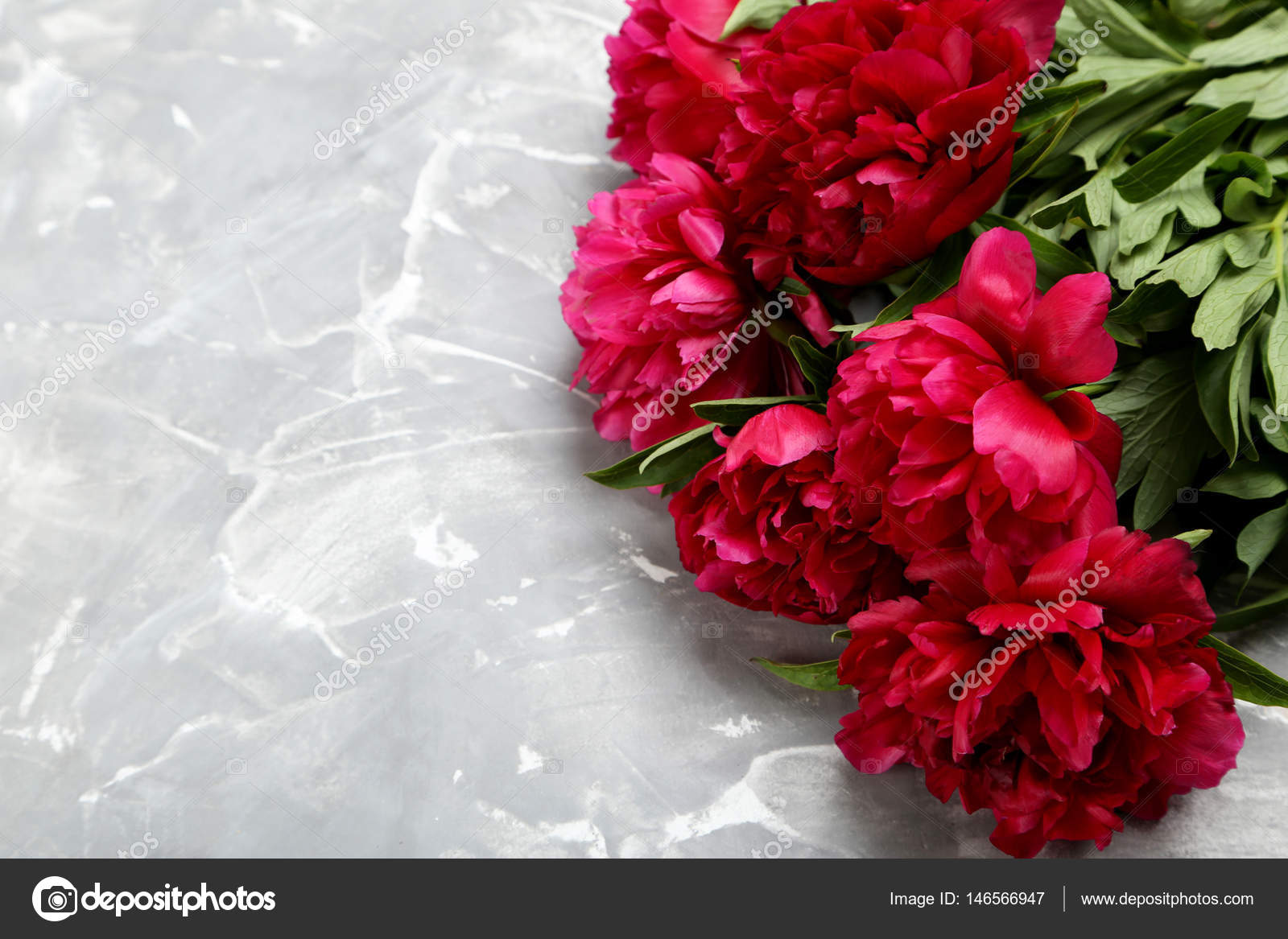 Flores de peonía roja fotos de stock, imágenes de Flores de peonía roja sin  royalties | Depositphotos