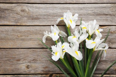 Iris buket