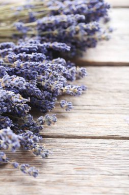 Bir demet lavanta çiçeği.