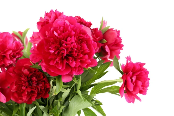 Bouquet of red peony flowers — Stock Photo, Image