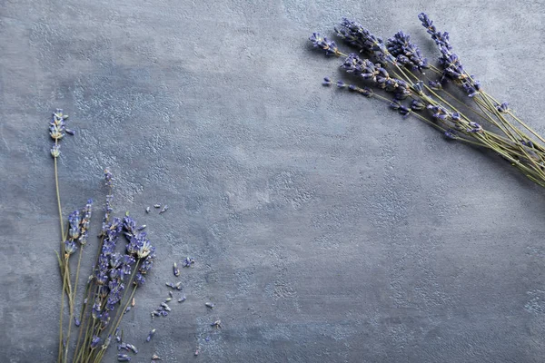 Mazzo di fiori di lavanda — Foto Stock