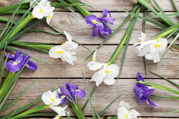 Ramo de flores de iris —  Fotos de Stock