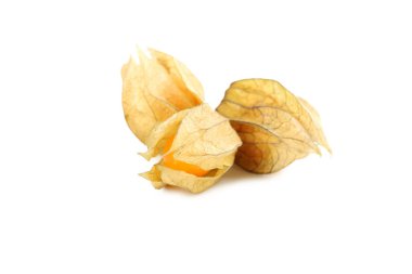 Olgun physalis beyaz bir arka plan üzerinde izole