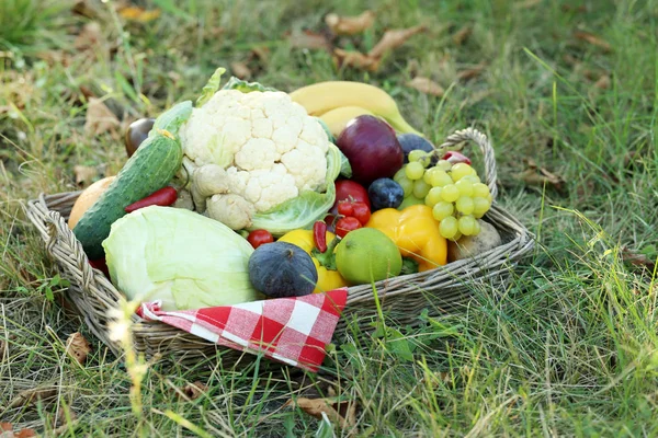 Фрукты и овощи в корзине на траве — стоковое фото