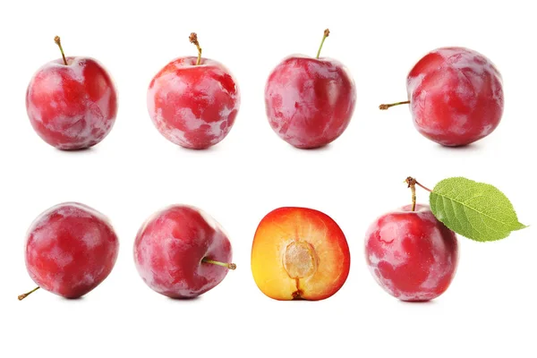Rânduri de prune roșii proaspete — Fotografie, imagine de stoc