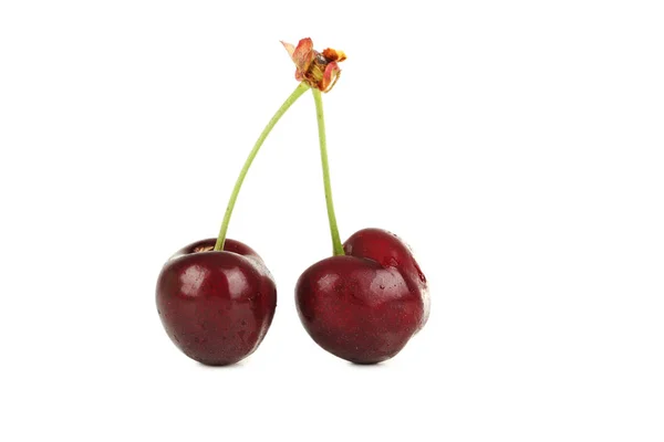 Two sweet cherries — Φωτογραφία Αρχείου
