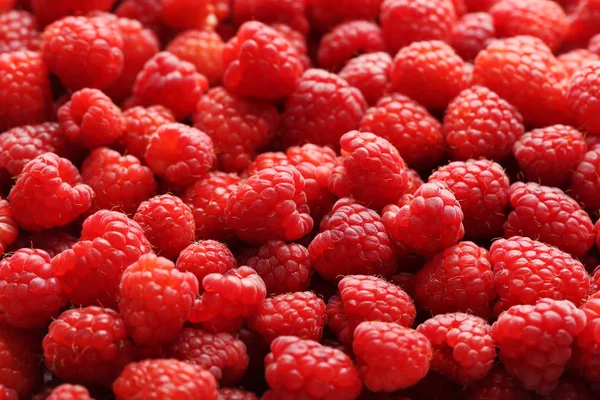 Ripe and sweet red raspberries — Stock Photo, Image