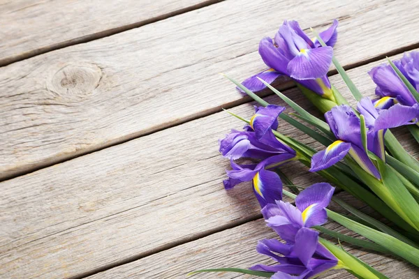 Ramo de flores de iris púrpura —  Fotos de Stock