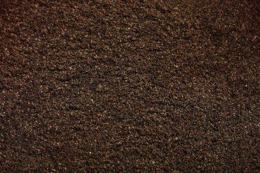 Siyah zemin biber arka plan