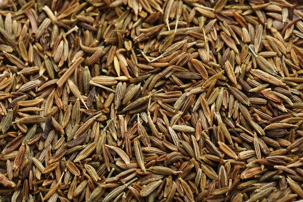 Pilha de sementes de alcaravia fundo — Fotografia de Stock