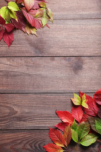 Autumn leaves on wooden table — Stock Photo, Image