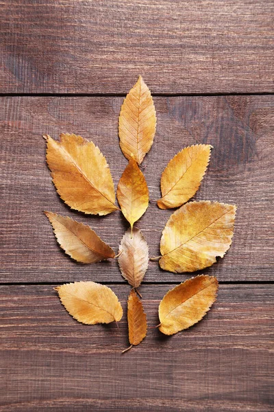 Hojas de otoño sobre mesa de madera —  Fotos de Stock