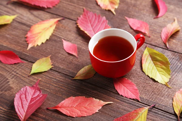 Herbstblätter mit Tasse Tee — Stockfoto