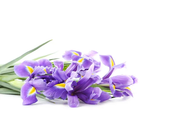 Μπουκέτο λουλούδια Ίρις — Φωτογραφία Αρχείου
