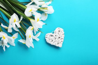 Beyaz Iris çiçekler