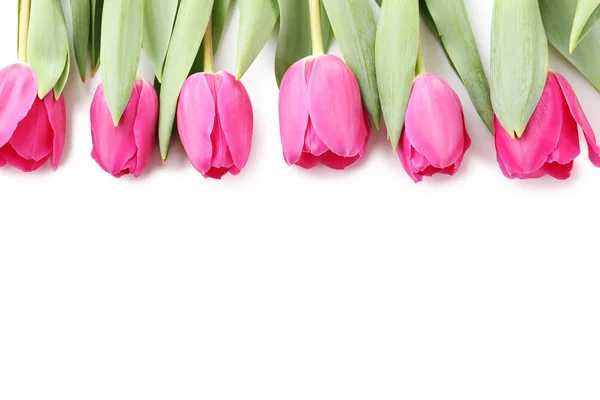Bouquet of pink tulips on a white background — Stock Photo, Image