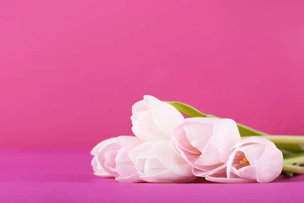 Csokor tulipán rózsaszín háttér — Stock Fotó