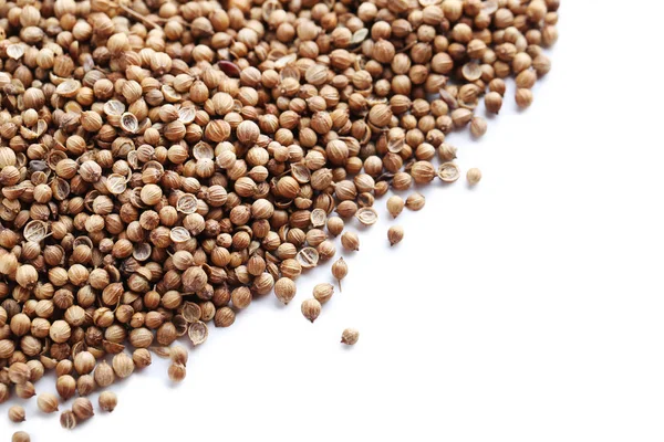 Kupie nasiona kolendry — Zdjęcie stockowe