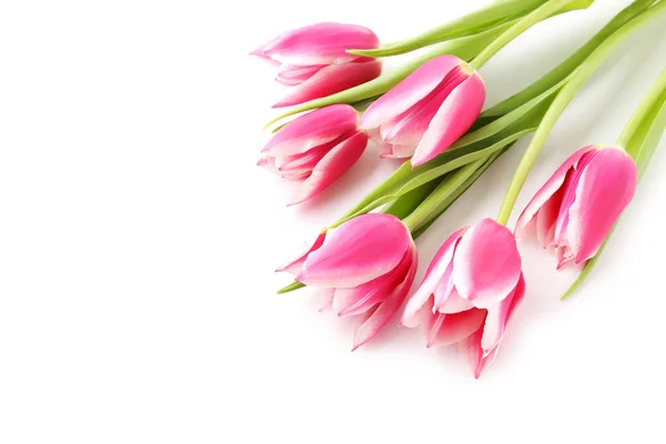 Bouquet of pink tulips — Stock Photo, Image