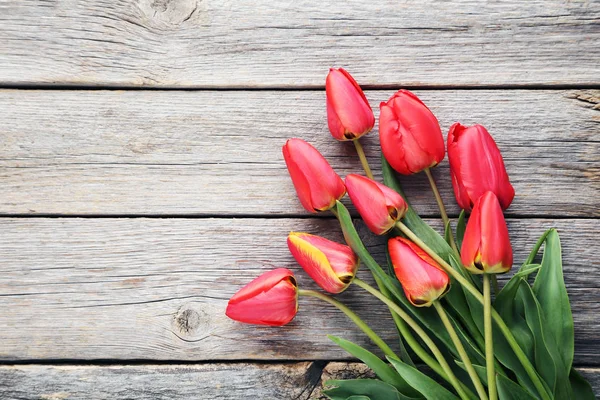 Bouquet of red tulips — Stock Photo, Image