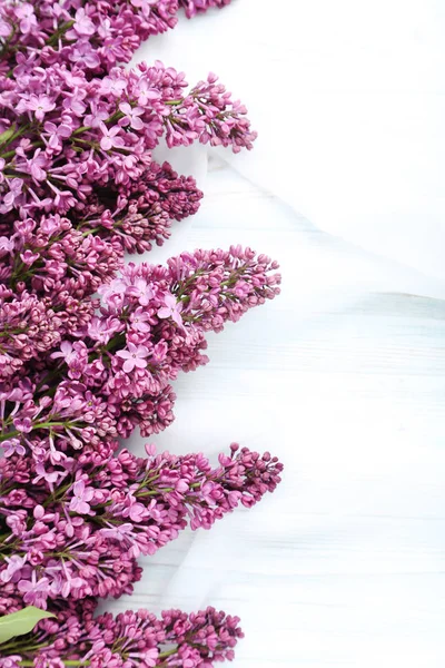 Branches of lilac flowers — Stock Photo, Image