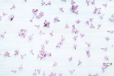 Eflatun çiçekler çok güzel 