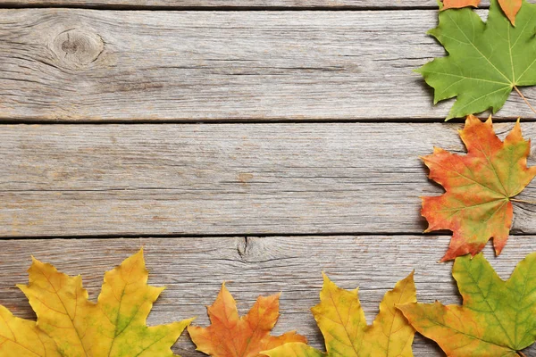 Droge herfstbladeren — Stockfoto