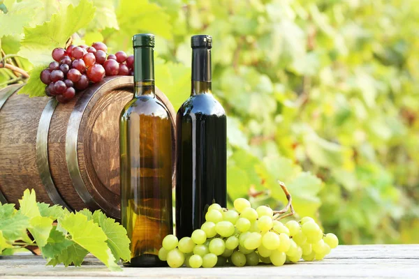 Vinho em garrafa com uvas — Fotografia de Stock