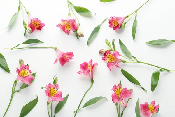 Flores de alstroemeria rosa — Fotografia de Stock