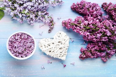 Kase ve beyaz merkezinde Eflatun çiçekler