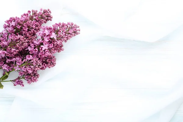 Branches of lilac flowers — Stock Photo, Image