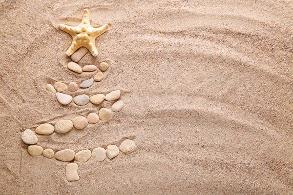 Abeto por piedra y estrella de mar — Foto de Stock