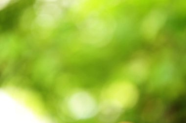 soyut yeşil bokeh arkaplanı