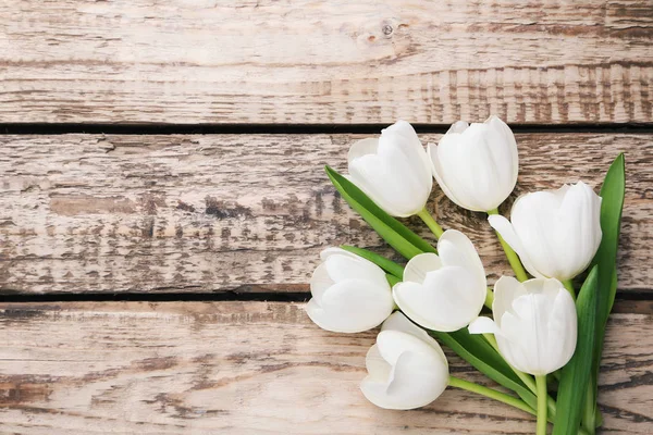 Beau bouquet de tulipes — Photo