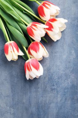 Kırmızı lale buketi