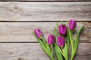 Güzel bir buket lale.