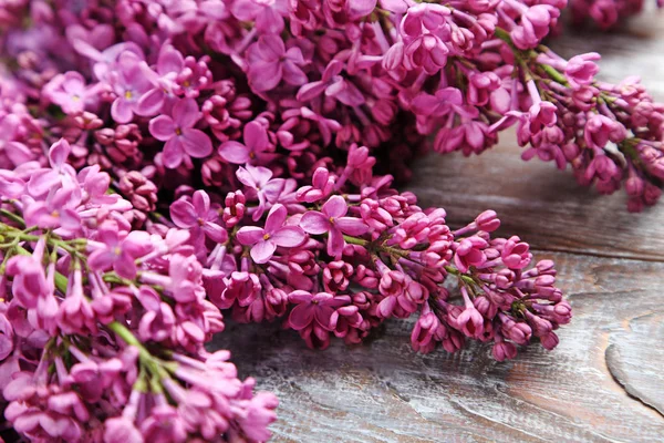 Ramos de flores lilás — Fotografia de Stock