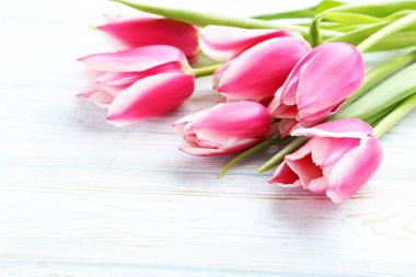 Masa üzerinde Pembe Lale çiçek
