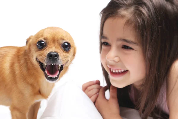 Kleines Mädchen mit Hund im Bett — Stockfoto