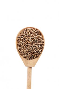 Kaşığı kişniş tohumu 