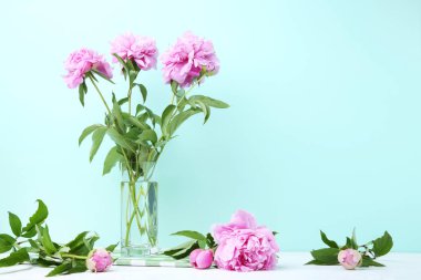 Pembe şakayık çiçekleri