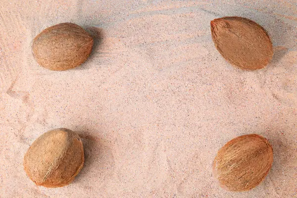 Cocos na areia da praia — Fotografia de Stock