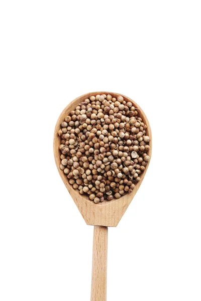 Coriander seeds in spoon — Stock Photo, Image