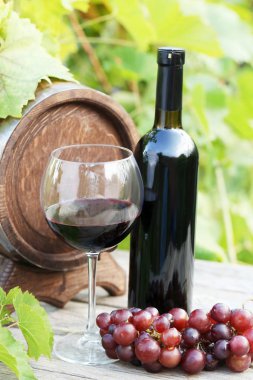 Cam avuç üzüm şarap