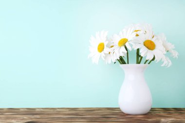 Beyaz papatya çiçekleri